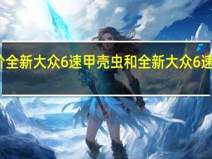 如何评价全新大众6速甲壳虫和全新大众6速甲壳虫的配置？