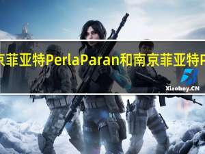 如何评价南京菲亚特Perla Paran和南京菲亚特Perla Paran的业绩
