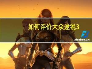 如何评价大众途锐3.6和大众途锐3.6的动力？