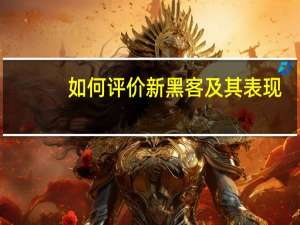 如何评价新黑客及其表现？