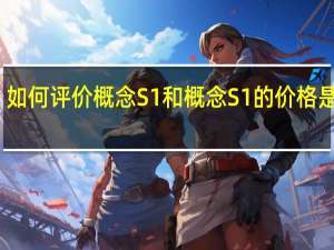 如何评价概念S1和概念S1的价格是多少？
