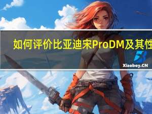 如何评价比亚迪宋Pro DM及其性能？