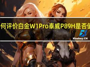 如何评价白金W1Pro泰威P89H是否值得购买？