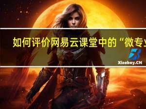 如何评价网易云课堂中的“微专业”