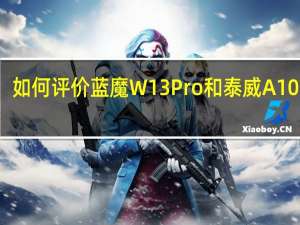 如何评价蓝魔W13Pro和泰威A10双核？