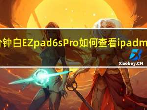 如何评价钟白EZpad  6s  Pro如何查看ipad  mini的激活信息