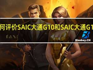 如何评价SAIC大通G10和SAIC大通G10的实力？