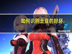 如何识别土豆的好坏