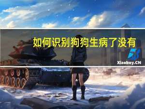 如何识别狗狗生病了没有