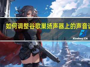 如何调整谷歌巢扬声器上的声音设置