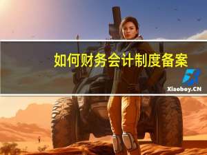 如何财务会计制度备案