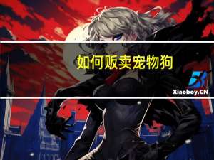 如何贩卖宠物狗