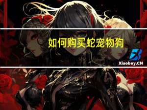 如何购买蛇宠物狗