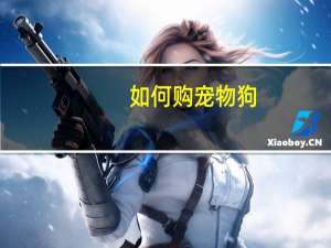 如何购宠物狗
