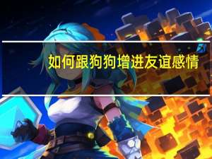 如何跟狗狗增进友谊感情