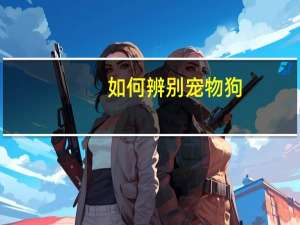 如何辨别宠物狗