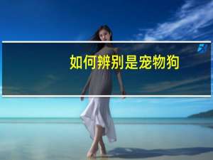 如何辨别是宠物狗