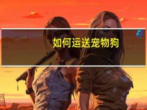 如何运送宠物狗