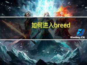 如何进入breed