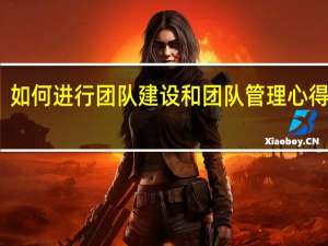 如何进行团队建设和团队管理心得体会（如何进行团队建设和团队管理）