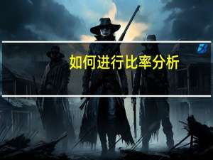 如何进行比率分析