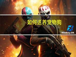 如何送养宠物狗