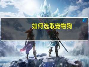 如何选取宠物狗