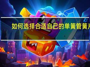如何选择合适自己的单簧管簧片