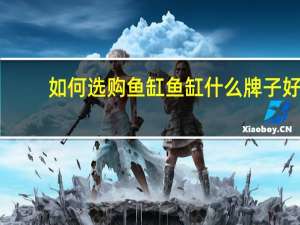 如何选购鱼缸鱼缸什么牌子好
