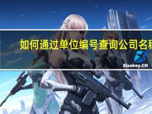 如何通过单位编号查询公司名称