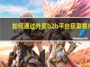 如何通过外贸b2b平台获取客户