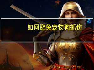 如何避免宠物狗抓伤