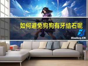 如何避免狗狗有牙结石呢