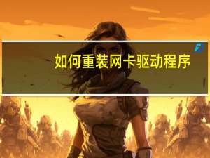 如何重装网卡驱动程序