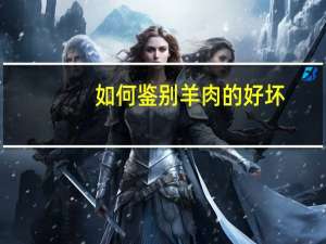 如何鉴别羊肉的好坏