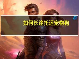 如何长途托运宠物狗