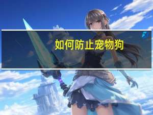 如何防止宠物狗