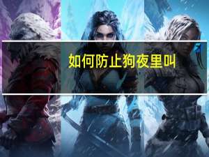 如何防止狗夜里叫