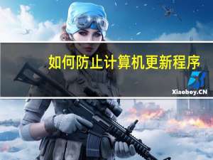如何防止计算机更新程序