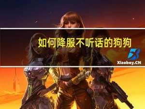 如何降服不听话的狗狗