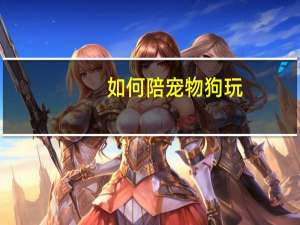 如何陪宠物狗玩