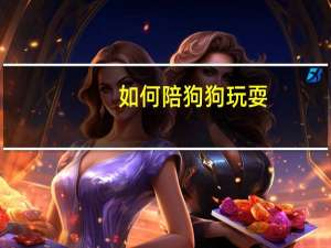 如何陪狗狗玩耍