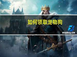 如何领取宠物狗