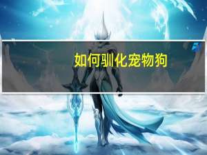 如何驯化宠物狗