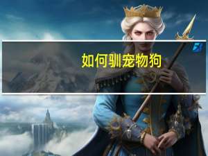 如何驯宠物狗