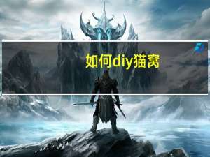如何diy猫窝