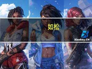 如松（关于如松的介绍）