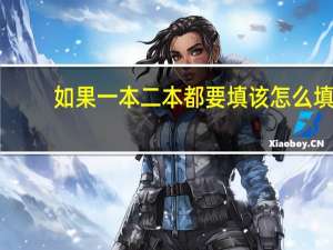 如果一本二本都要填该怎么填