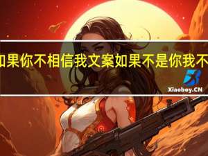 如果你不相信我文案 如果不是你我不会相信