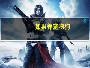 如果养宠物狗